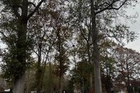 Land for sale in Clarendon County, South Carolina