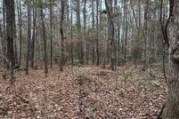 Land for sale in Pender County, North Carolina