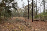 Land for sale in Putnam County, Florida