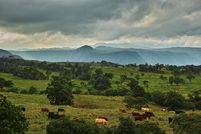 Land for sale in Hawaii County, Hawaii