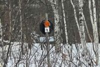 Undeveloped Land for sale in Houghton County, Michigan