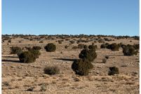 Land for sale in Coconino County, Arizona