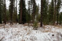 Land for sale in Valley County, Idaho