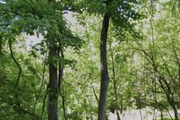 Land for sale in Prince Georges County, Maryland