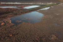 Land for sale in Union Parish, Louisiana