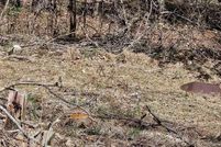 Land for sale in DeKalb County, Tennessee