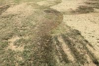 Commercial Property for sale in Somerset County, Maryland