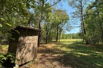 Land for sale in Scott County, Mississippi