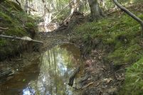 Land for sale in Lawrence County, Mississippi