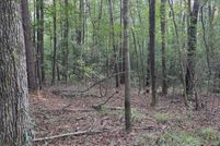 Land for sale in Jasper County, Mississippi
