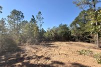 Land for sale in Greene County, Mississippi