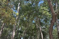 Land for sale in Jackson County, Mississippi