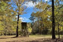 Land for sale in Calhoun County, Mississippi