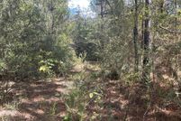 Undeveloped Land for sale in George County, Mississippi