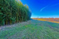 Waterfront Property for sale in Walthall County, Mississippi