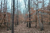Land for sale in Buckingham County, Virginia