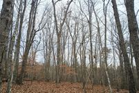 Land for sale in Buckingham County, Virginia