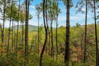Undeveloped Land for sale in Gilmer County, Georgia