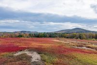 Land for sale in Waldo County, Maine