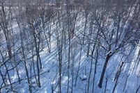 Recreational Property for sale in Penobscot County, Maine