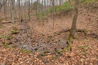 Land for sale in Gilmer County, Georgia