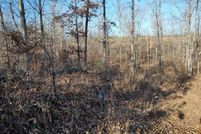 Land for sale in Stewart County, Tennessee