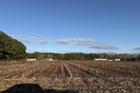 Land for sale in Williamsburg County, South Carolina