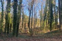 Land for sale in Henry County, Georgia