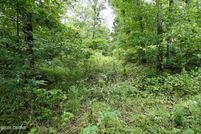 Land for sale in Decatur County, Tennessee