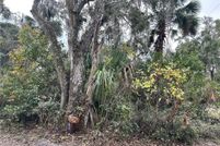 Homesite for sale in Citrus County, Florida