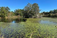 Undeveloped Land for sale in Worth County, Georgia