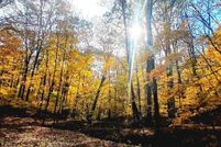 Land for sale in Jackson County, Ohio