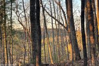 Land for sale in Monroe County, Tennessee