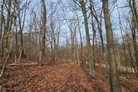 Land for sale in Coshocton County, Ohio