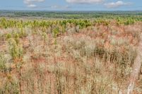 Undeveloped Land for sale in Alger County, Michigan