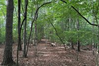 Land for sale in Fannin County, Georgia