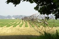 Land for sale in Suffolk County, New York