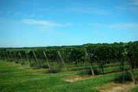 Land for sale in Suffolk County, New York