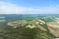 Land for sale in Marion County, South Carolina