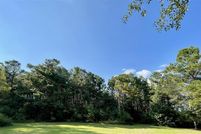 Land for sale in Beauregard Parish, Louisiana