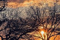 Land for sale in Pima County, Arizona