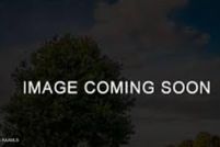 Land for sale in Vermilion Parish, Louisiana