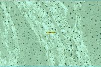 Land for sale in Nye County, Nevada