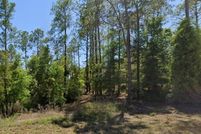 Land for sale in Levy County, Florida