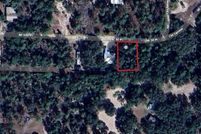 Undeveloped Land for sale in Levy County, Florida