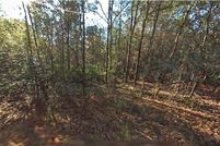 Land for sale in Marion County, Florida