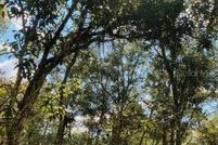 Homesite for sale in Pasco County, Florida