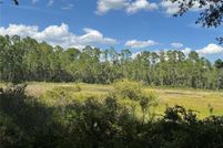 Undeveloped Land for sale in Putnam County, Florida