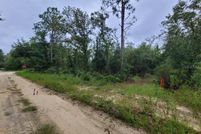 Land for sale in Levy County, Florida