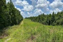 Land for sale in Lamar County, Mississippi